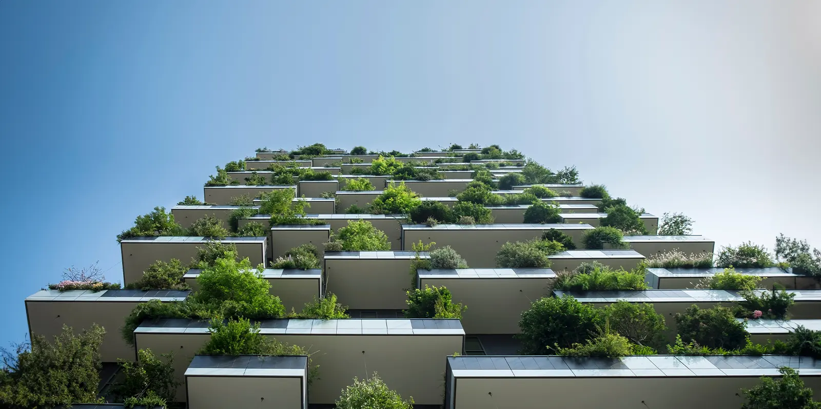 product-banner-sustainable-building