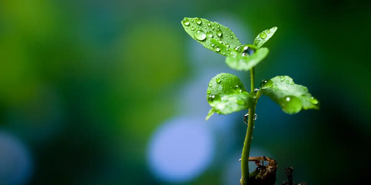 product-banner-Environment