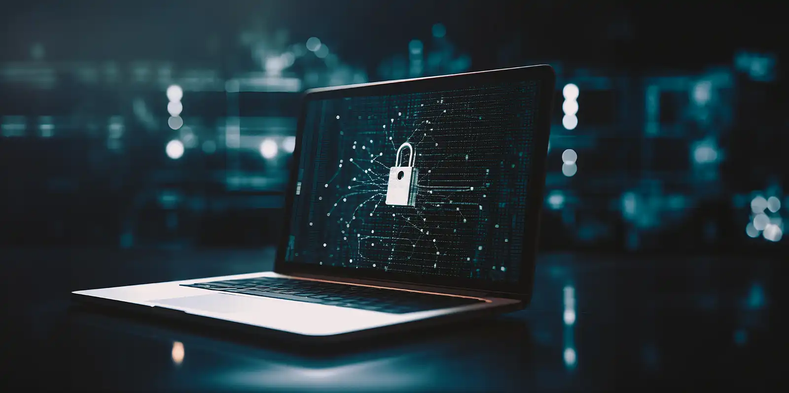 product-banner Data-protection 4